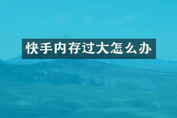 快手内存过大怎么办