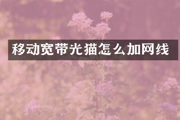 移动宽带光猫怎么加网线