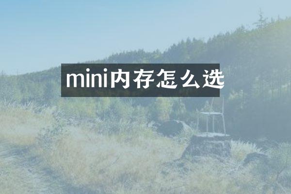 mini内存怎么选