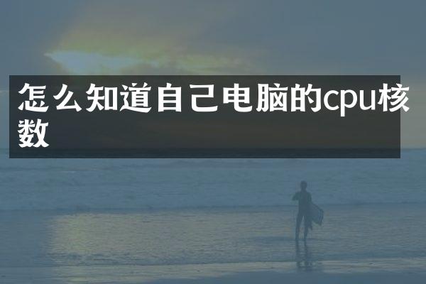 怎么知道自己电脑的cpu核数
