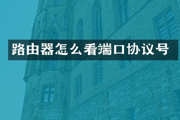 路由器怎么看端口协议号