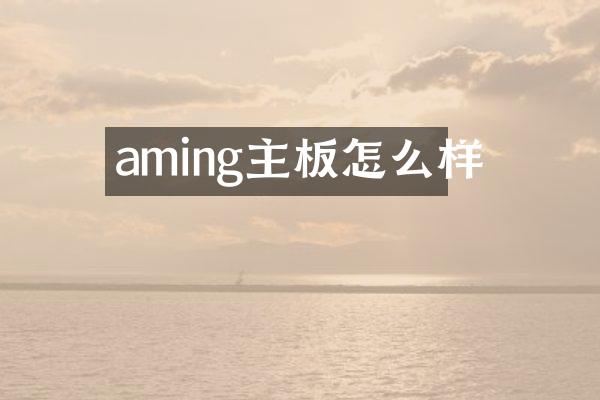 aming主板怎么样