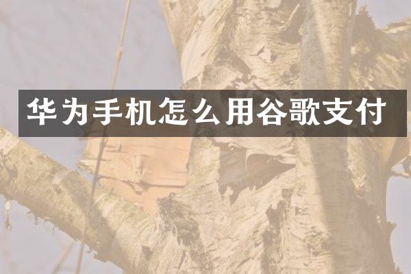 华为手机怎么用谷歌支付