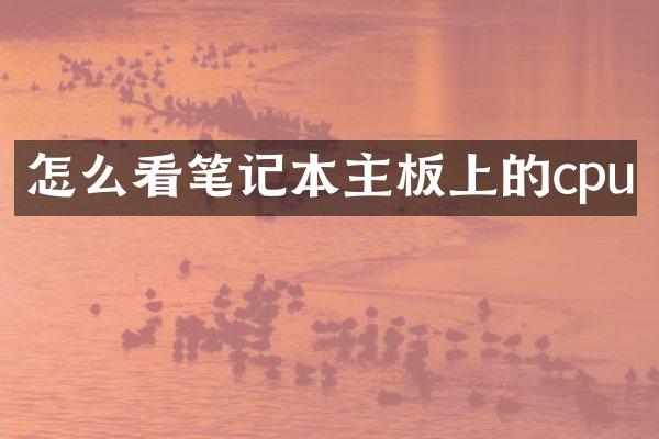 怎么看笔记本主板上的cpu