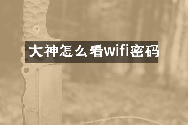 大神怎么看wifi密码
