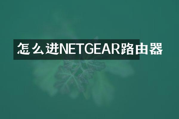 怎么进NETGEAR路由器