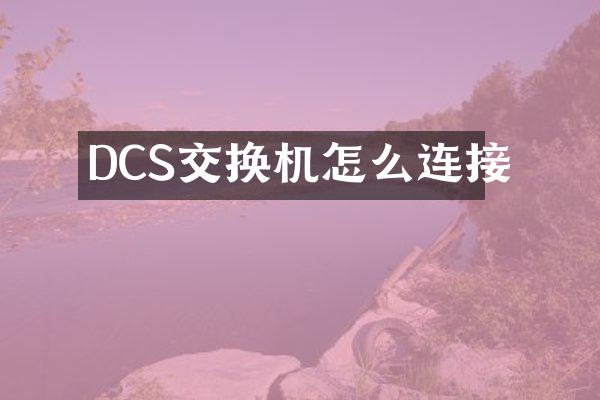 DCS交换机怎么连接
