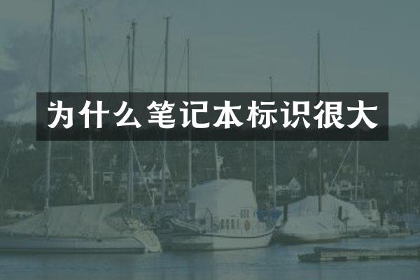 为什么笔记本标识很大
