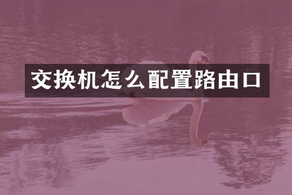 交换机怎么配置路由口