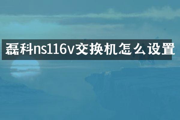 磊科ns116v交换机怎么设置