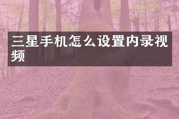 三星手机怎么设置内录视频