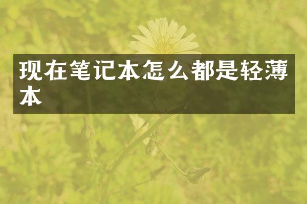 现在笔记本怎么都是轻薄本