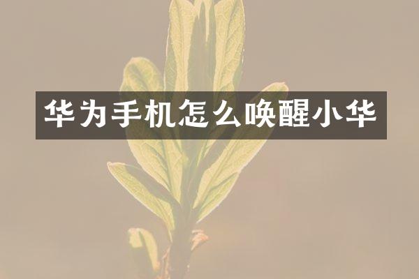 华为手机怎么唤醒小华