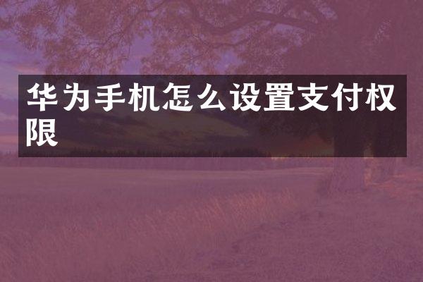华为手机怎么设置支付权限