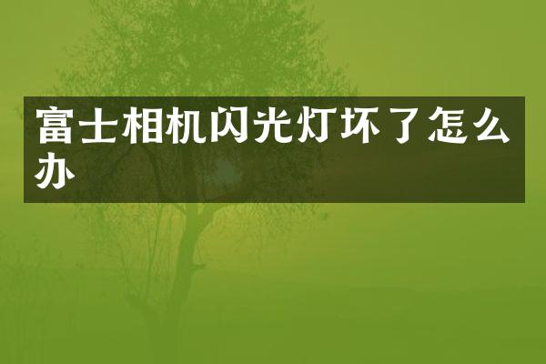 富士相机闪光灯坏了怎么办