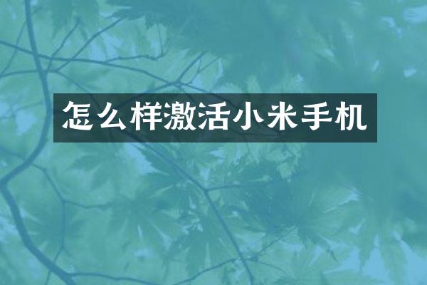 怎么样激活小米手机