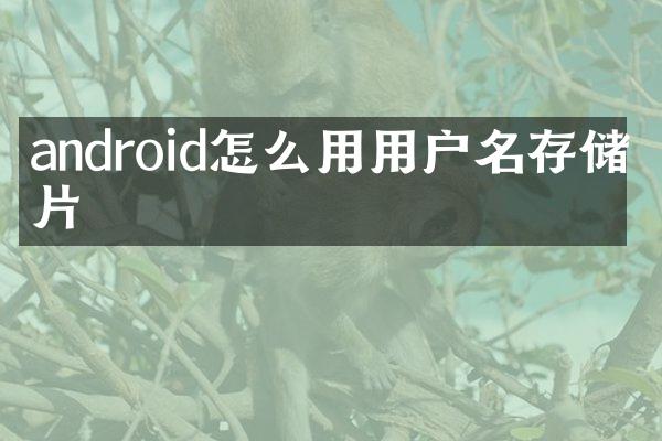android怎么用用户名存储图片