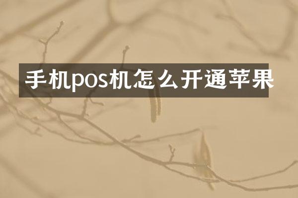 手机pos机怎么开通苹果