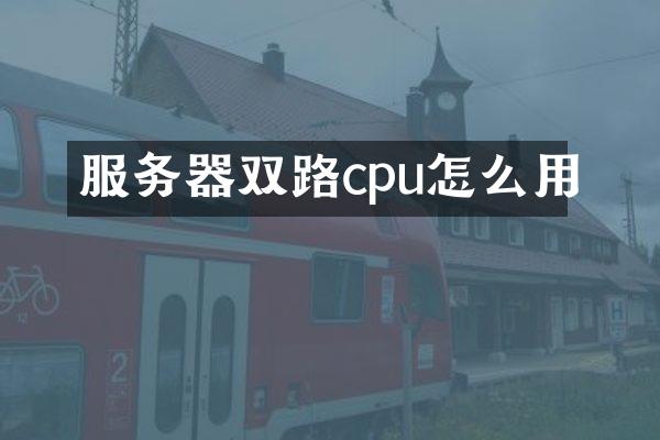 服务器双路cpu怎么用
