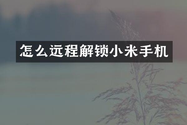 怎么远程解锁小米手机