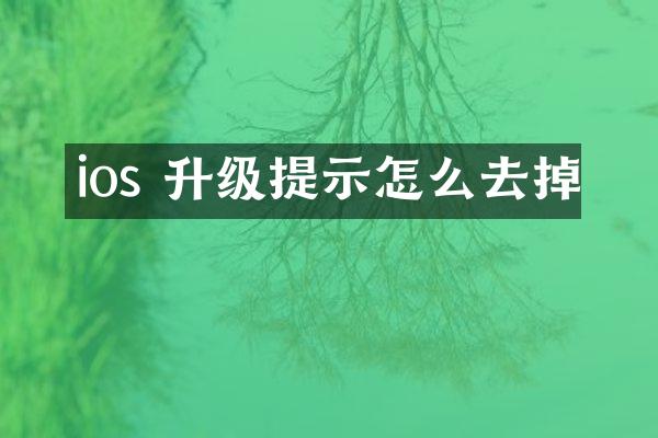 ios 升级提示怎么去掉