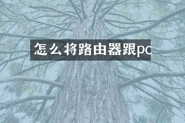 怎么将路由器跟pc