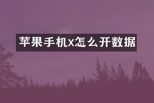 苹果手机x怎么开数据