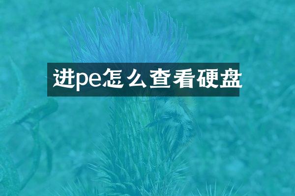 进pe怎么查看硬盘