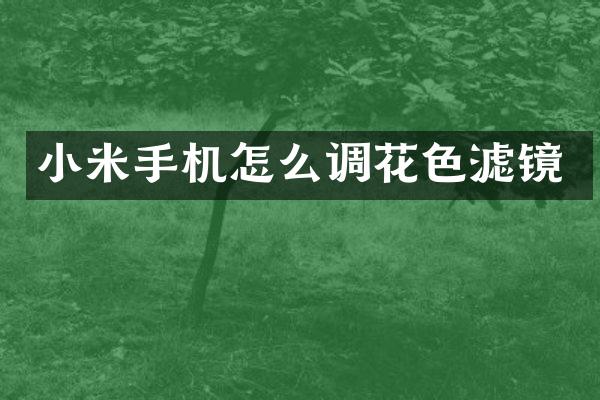 小米手机怎么调花色滤镜