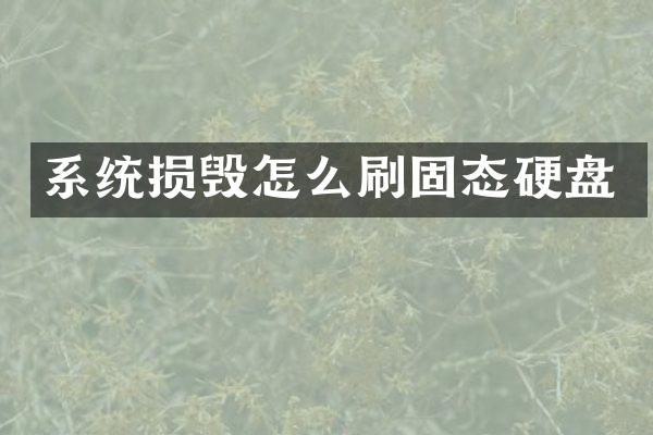 系统损毁怎么刷固态硬盘