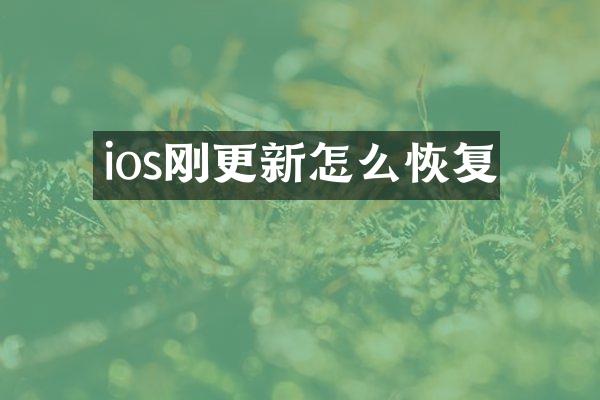 ios刚更新怎么恢复