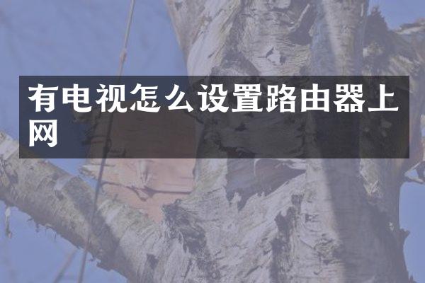 有电视怎么设置路由器上网