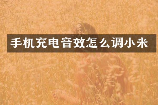 手机充电音效怎么调小米