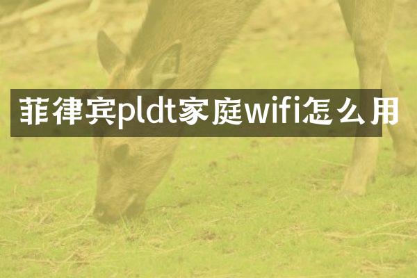 菲律宾pldt家庭wifi怎么用