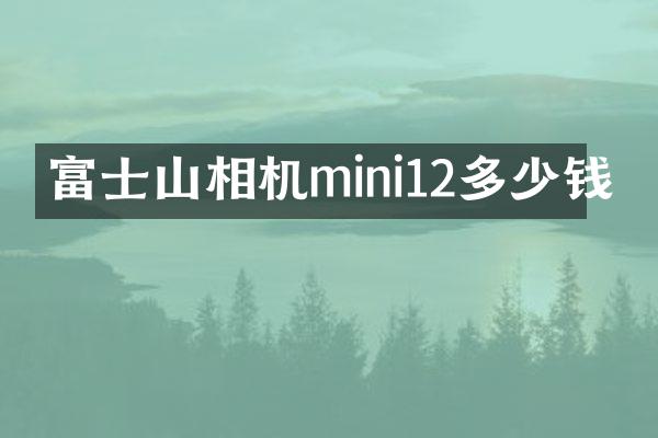 富士山相机mini12多少钱