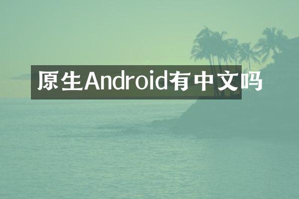 原生Android有中文吗