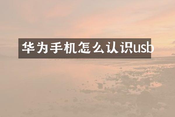 华为手机怎么认识usb