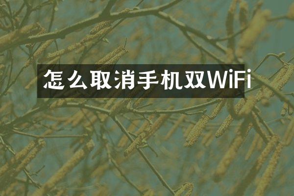 怎么取消手机双WiFi