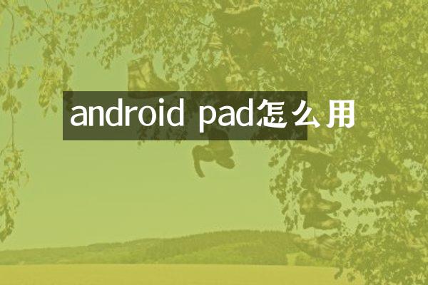 android pad怎么用