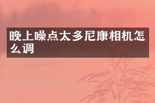 晚上噪点太多尼康相机怎么调