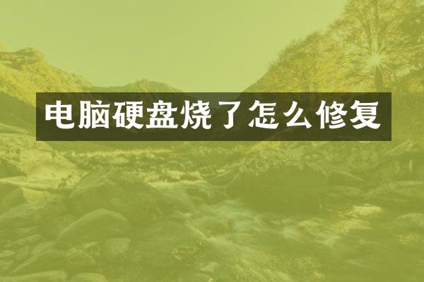 电脑硬盘烧了怎么修复