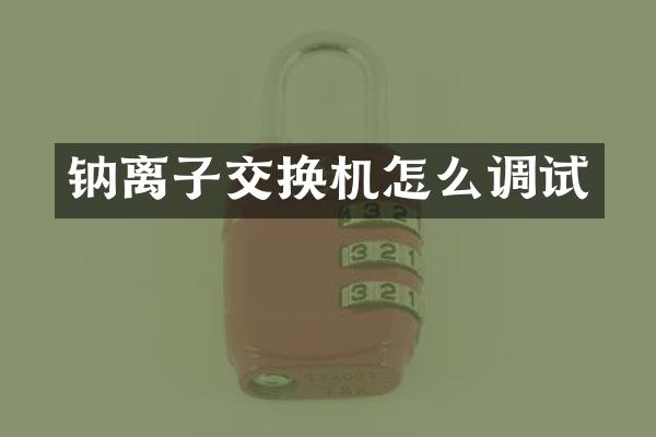 钠离子交换机怎么调试