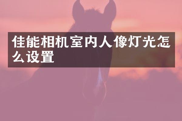 佳能相机室内人像灯光怎么设置