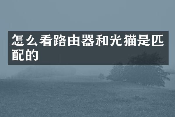 怎么看路由器和光猫是匹配的