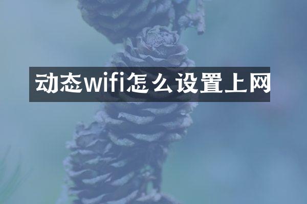 动态wifi怎么设置上网