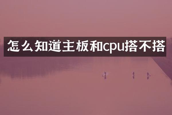 怎么知道主板和cpu搭不搭