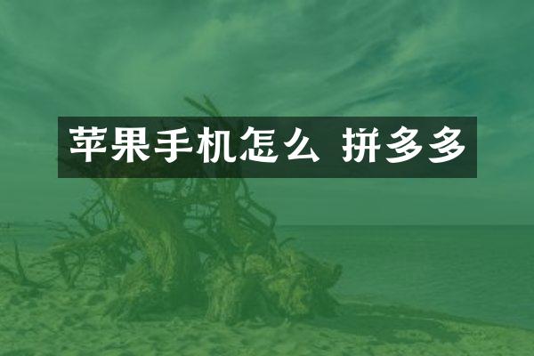 苹果手机怎么 拼多多