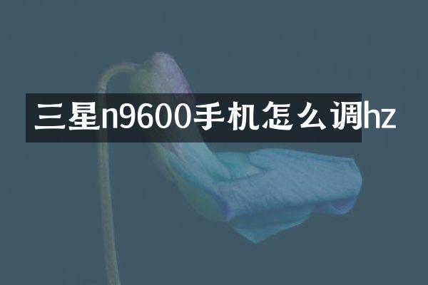三星n9600手机怎么调hz