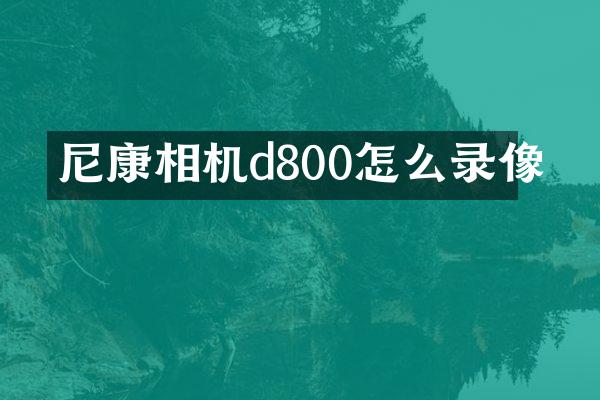 尼康相机d800怎么录像