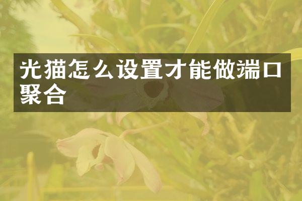 光猫怎么设置才能做端口聚合